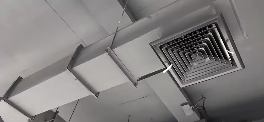 Our Pest Removal From Ducts Services in Huntsville, AL