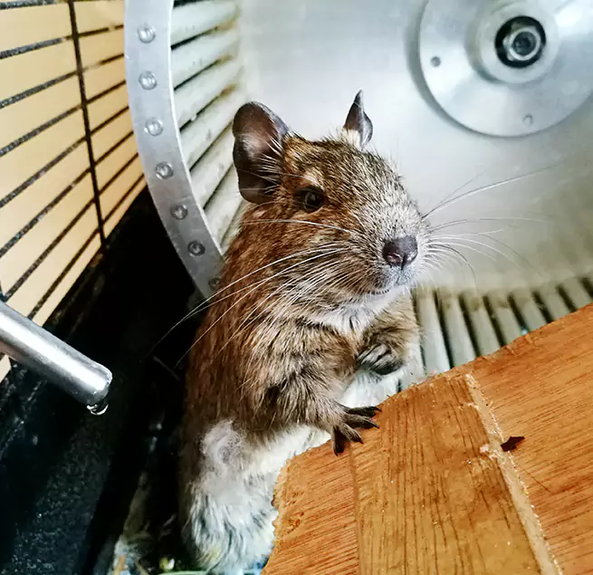 Why Homeowners & Businesses Trust Us Huntsville, AL?